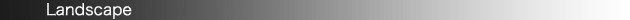 <h2>�����h�X�P�[�v</h2>