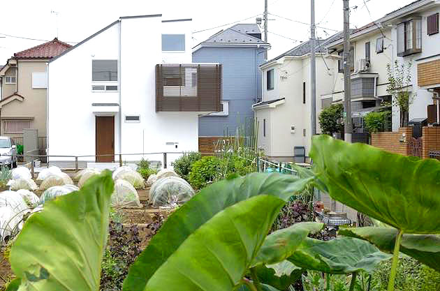 菜園の緑を取り込むシンプルモダンな住宅外観,２階に四畳半のデッキテラスのある白い家,菜園越しの外観